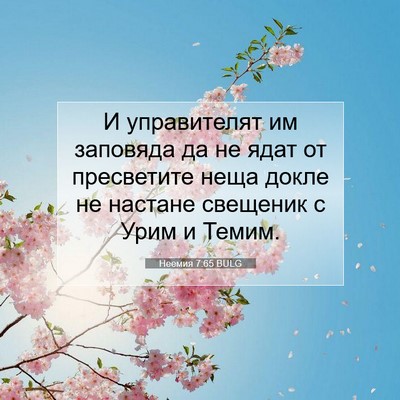 Picture 07 - Неемия 7:65 BULG - И управителят им заповяда - Bible Verse Picture