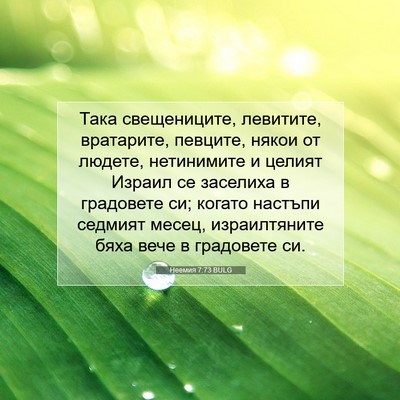Picture 07 - Неемия 7:73 BULG - Така свещениците, - Bible Verse Picture