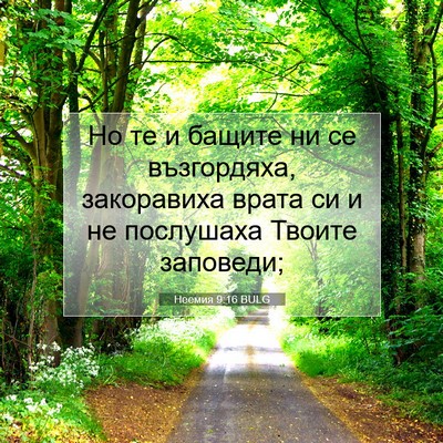 Picture 07 - Неемия 9:16 BULG - Но те и бащите ни се - Bible Verse Picture