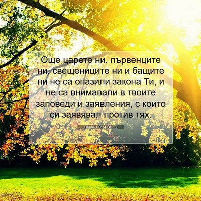 Picture 07 - Неемия 9:34 BULG - Още царете ни, първенците - Bible Verse Picture