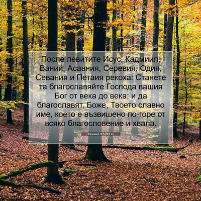 Picture 07 - Неемия 9:5 BULG - После левитите Исус, - Bible Verse Picture