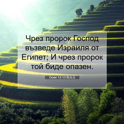 Picture 07 - Осия 12:13 BULG - Чрез пророк Господ възведе - Bible Verse Picture