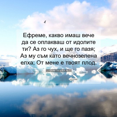 Picture 07 - Осия 14:8 BULG - Ефреме, какво имаш вече да - Bible Verse Picture
