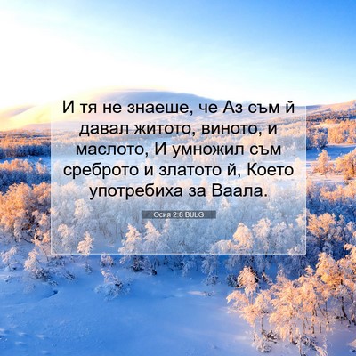Picture 07 - Осия 2:8 BULG - И тя не знаеше, че Аз съм й - Bible Verse Picture