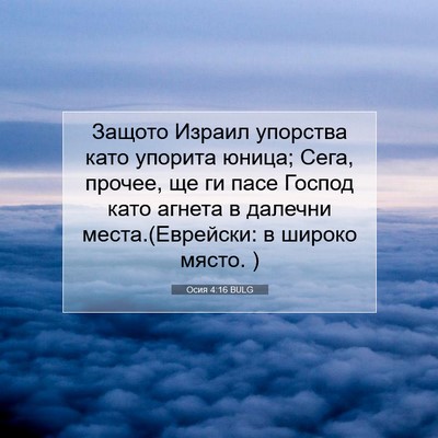 Picture 07 - Осия 4:16 BULG - Защото Израил упорства - Bible Verse Picture