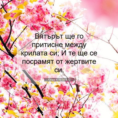 Picture 07 - Осия 4:19 BULG - Вятърът ще го притисне - Bible Verse Picture