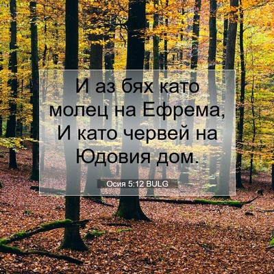 Picture 07 - Осия 5:12 BULG - И аз бях като молец на - Bible Verse Picture