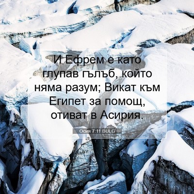 Picture 07 - Осия 7:11 BULG - И Ефрем е като глупав - Bible Verse Picture