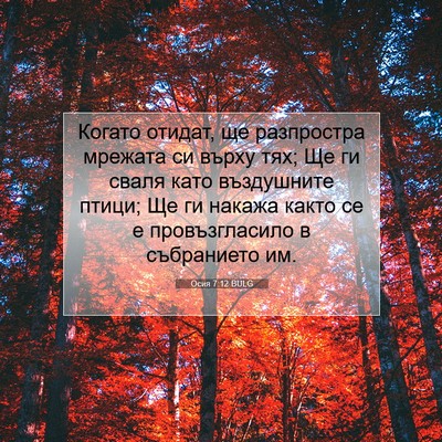 Picture 07 - Осия 7:12 BULG - Когато отидат, ще - Bible Verse Picture