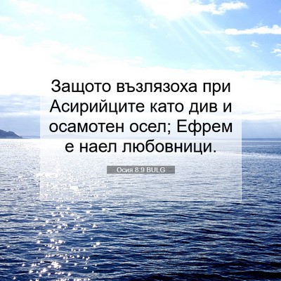 Picture 07 - Осия 8:9 BULG - Защото възлязоха при - Bible Verse Picture