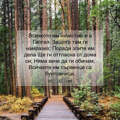 Picture 07 - Осия 9:15 BULG - Всичкото им нечестие е в - Bible Verse Picture