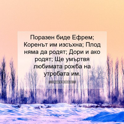 Picture 07 - Осия 9:16 BULG - Поразен биде Ефрем; - Bible Verse Picture