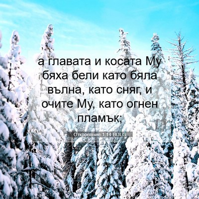 Picture 07 - Откровение 1:14 BULG - а главата и косата Му бяха - Bible Verse Picture