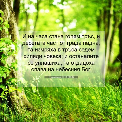 Picture 07 - Откровение 11:13 BULG - И на часа стана голям тръс, - Bible Verse Picture