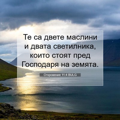 Picture 07 - Откровение 11:4 BULG - Те са двете маслини и двата - Bible Verse Picture