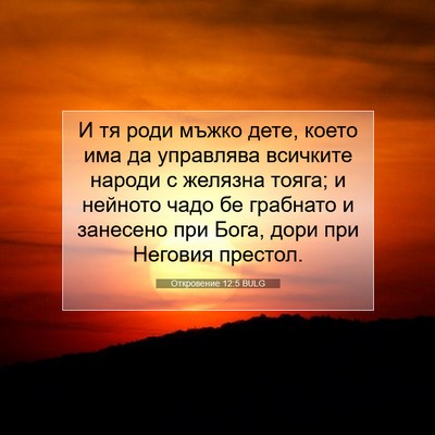 Picture 07 - Откровение 12:5 BULG - И тя роди мъжко дете, което - Bible Verse Picture