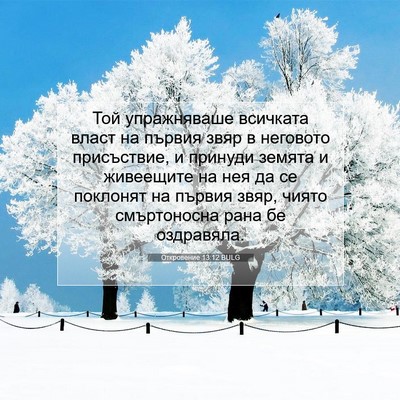 Picture 07 - Откровение 13:12 BULG - Той упражняваше всичката - Bible Verse Picture