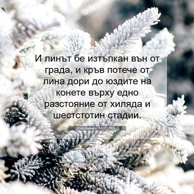 Picture 07 - Откровение 14:20 BULG - И линът бе изтъпкан вън от - Bible Verse Picture