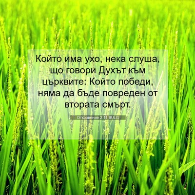 Picture 07 - Откровение 2:11 BULG - Който има ухо, нека слуша, - Bible Verse Picture