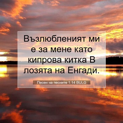 Picture 07 - Песен на песните 1:14 BULG - Възлюбленият ми е за мене - Bible Verse Picture