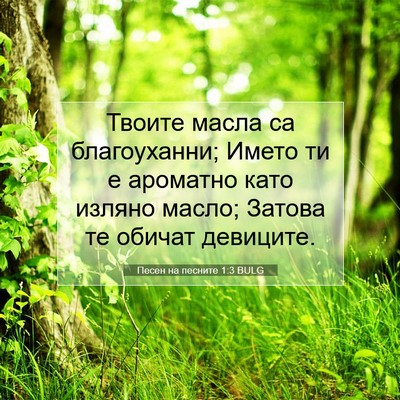 Picture 07 - Песен на песните 1:3 BULG - Твоите масла са - Bible Verse Picture
