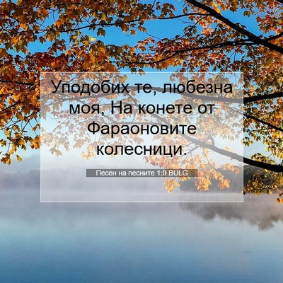 Picture 07 - Песен на песните 1:9 BULG - Уподобих те, любезна моя, - Bible Verse Picture