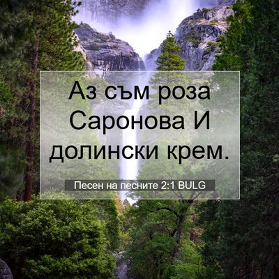 Picture 07 - Песен на песните 2:1 BULG - Аз съм роза Саронова И - Bible Verse Picture