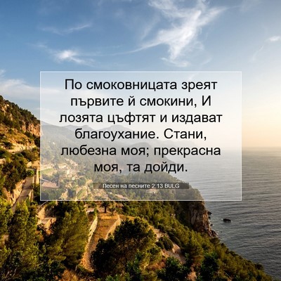 Picture 07 - Песен на песните 2:13 BULG - По смоковницата зреят - Bible Verse Picture