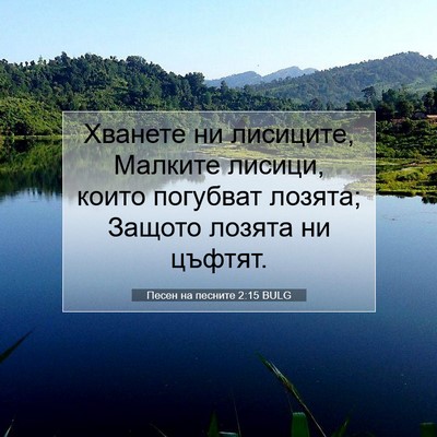 Picture 07 - Песен на песните 2:15 BULG - Хванете ни лисиците, - Bible Verse Picture