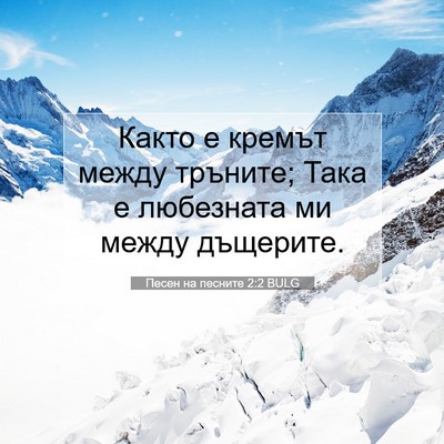 Picture 07 - Песен на песните 2:2 BULG - Както е кремът между - Bible Verse Picture