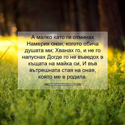 Picture 07 - Песен на песните 3:4 BULG - А малко като ги отминах - Bible Verse Picture