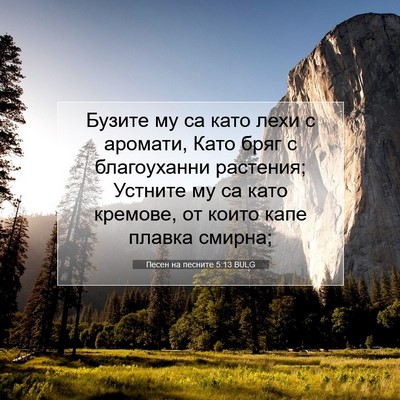 Picture 07 - Песен на песните 5:13 BULG - Бузите му са като лехи с - Bible Verse Picture