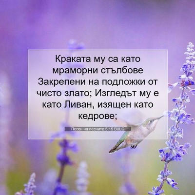 Picture 07 - Песен на песните 5:15 BULG - Краката му са като - Bible Verse Picture