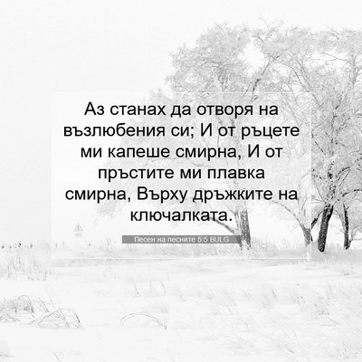 Picture 07 - Песен на песните 5:5 BULG - Аз станах да отворя на - Bible Verse Picture