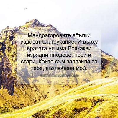 Picture 07 - Песен на песните 7:13 BULG - Мандрагоровите ябълки - Bible Verse Picture