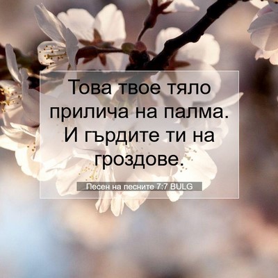 Picture 07 - Песен на песните 7:7 BULG - Това твое тяло прилича на - Bible Verse Picture