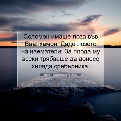 Picture 07 - Песен на песните 8:11 BULG - Соломон имаше лоза във - Bible Verse Picture