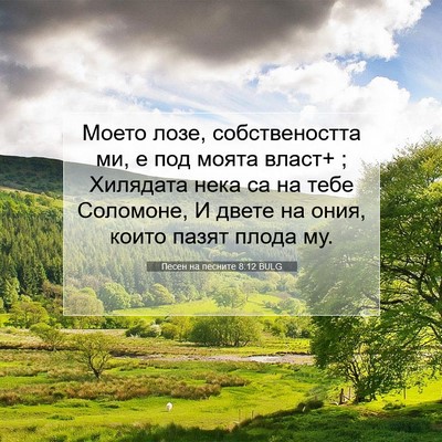 Picture 07 - Песен на песните 8:12 BULG - Моето лозе, собствеността - Bible Verse Picture