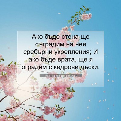Picture 07 - Песен на песните 8:9 BULG - Ако бъде стена ще съградим - Bible Verse Picture