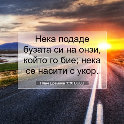 Picture 07 - Плач Еремиев 3:30 BULG - Нека подаде бузата си на - Bible Verse Picture