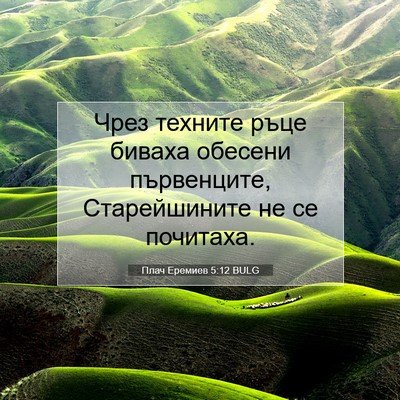Picture 07 - Плач Еремиев 5:12 BULG - Чрез техните ръце биваха - Bible Verse Picture