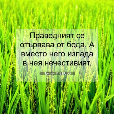 Picture 07 - Притчи 11:8 BULG - Праведният се отървава от - Bible Verse Picture