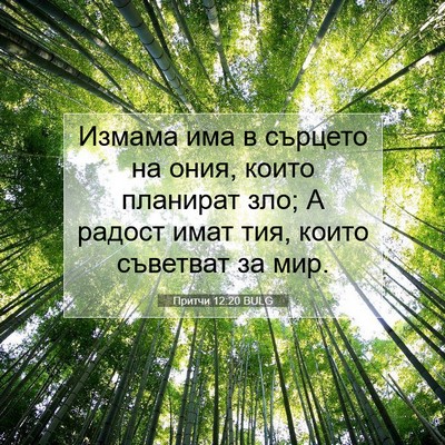 Picture 07 - Притчи 12:20 BULG - Измама има в сърцето на - Bible Verse Picture