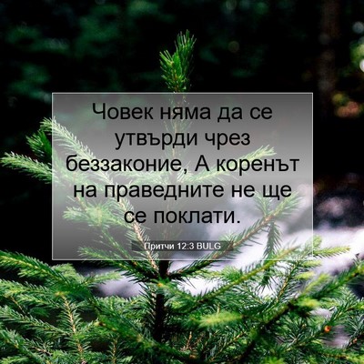 Picture 07 - Притчи 12:3 BULG - Човек няма да се утвърди - Bible Verse Picture