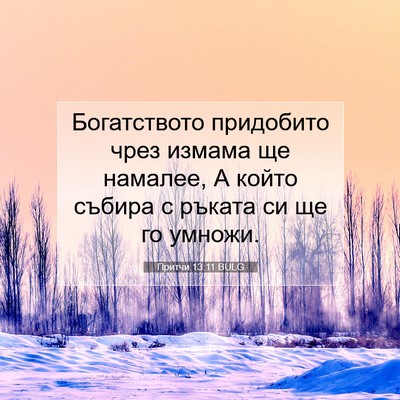 Picture 07 - Притчи 13:11 BULG - Богатството придобито - Bible Verse Picture