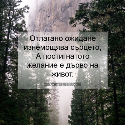 Picture 07 - Притчи 13:12 BULG - Отлагано ожидане - Bible Verse Picture