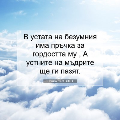 Picture 07 - Притчи 14:3 BULG - В устата на безумния има - Bible Verse Picture