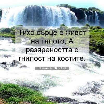 Picture 07 - Притчи 14:30 BULG - Тихо сърце е живот на - Bible Verse Picture