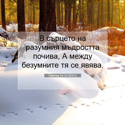Picture 07 - Притчи 14:33 BULG - В сърцето на разумния - Bible Verse Picture