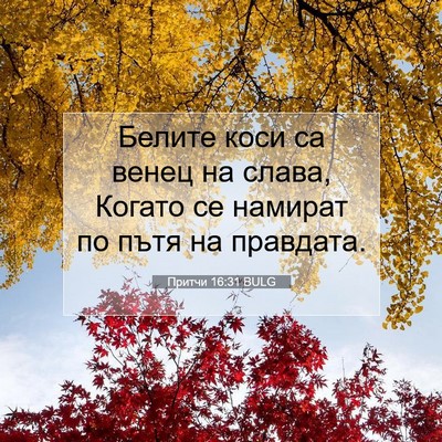 Picture 07 - Притчи 16:31 BULG - Белите коси са венец на - Bible Verse Picture